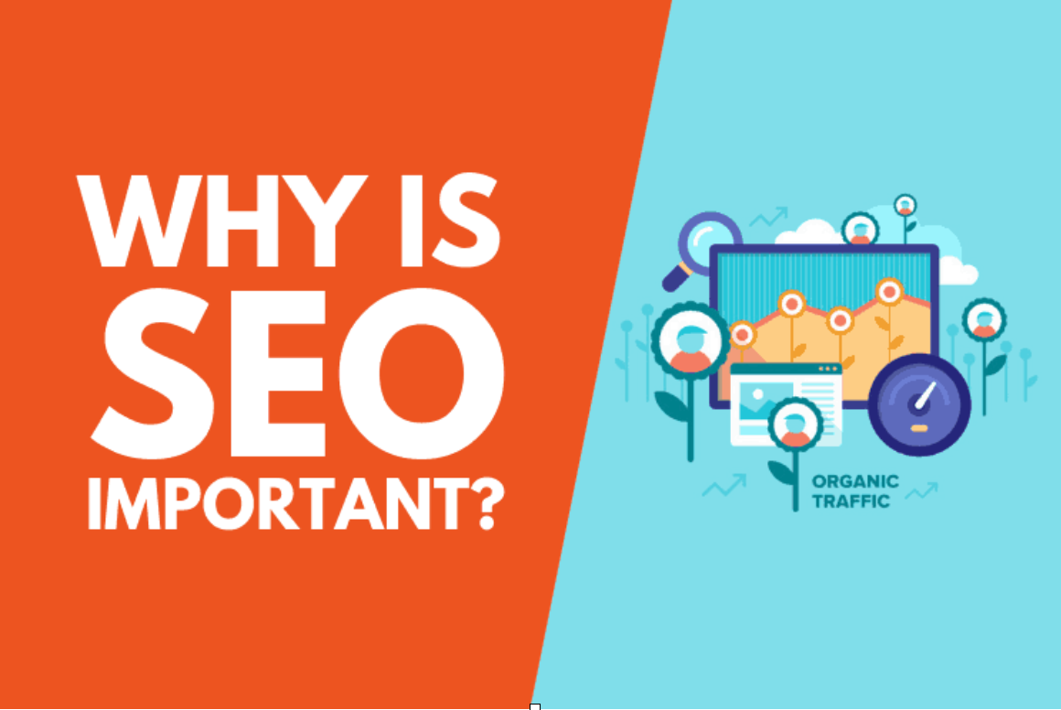 Why SEO Is Important in Digital Marketing & Business Growth